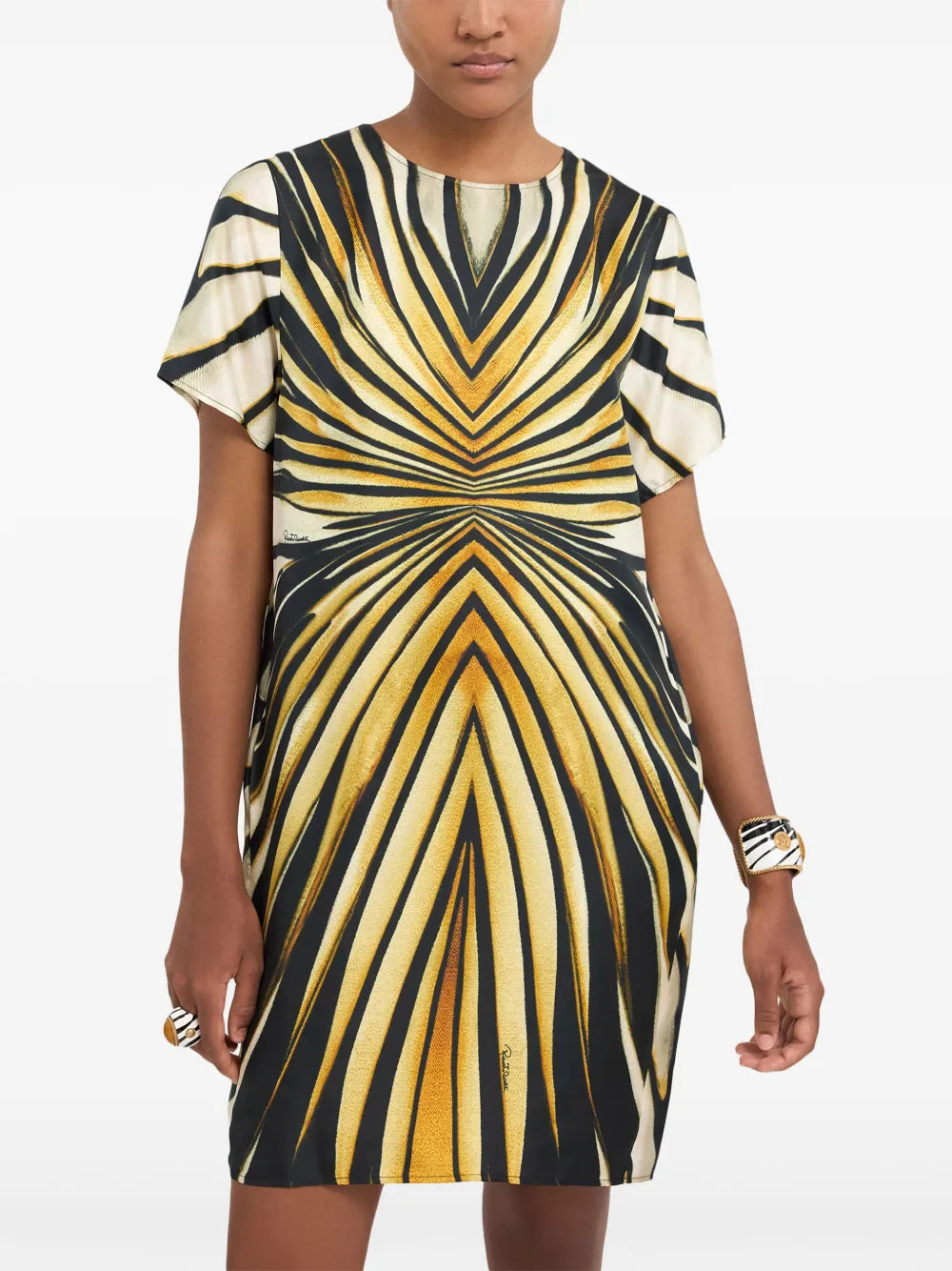 Roberto Cavalli Abstract Print Silk Dress