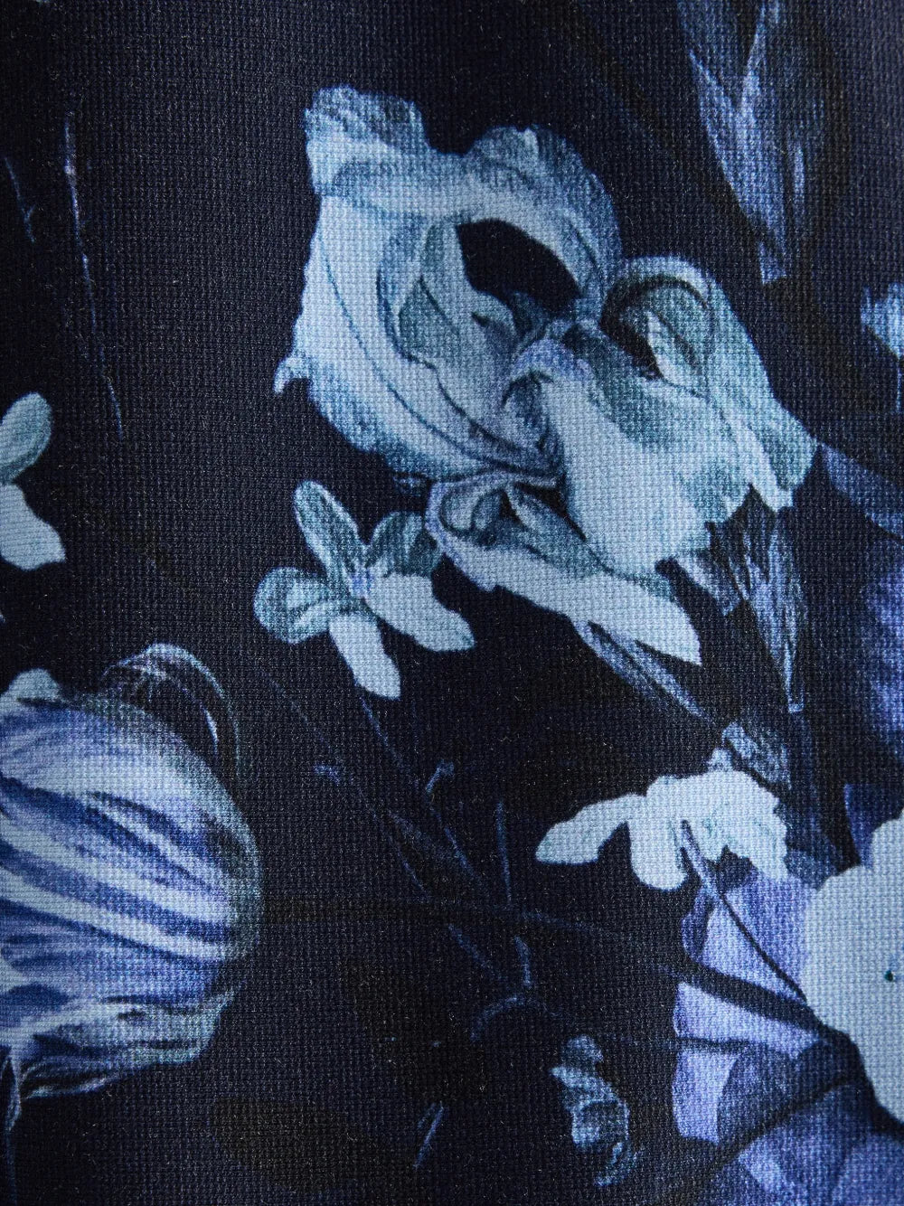 Erdem Floral Print Long Sleeve Midi Dress