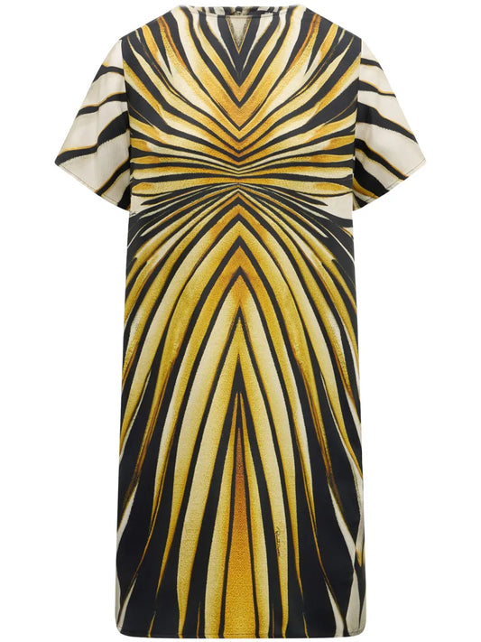 Roberto Cavalli Abstract Print Silk Dress