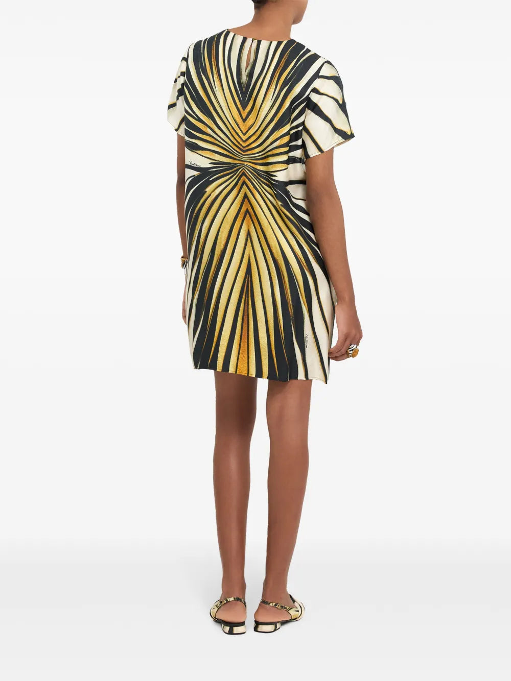 Roberto Cavalli Abstract Print Silk Dress
