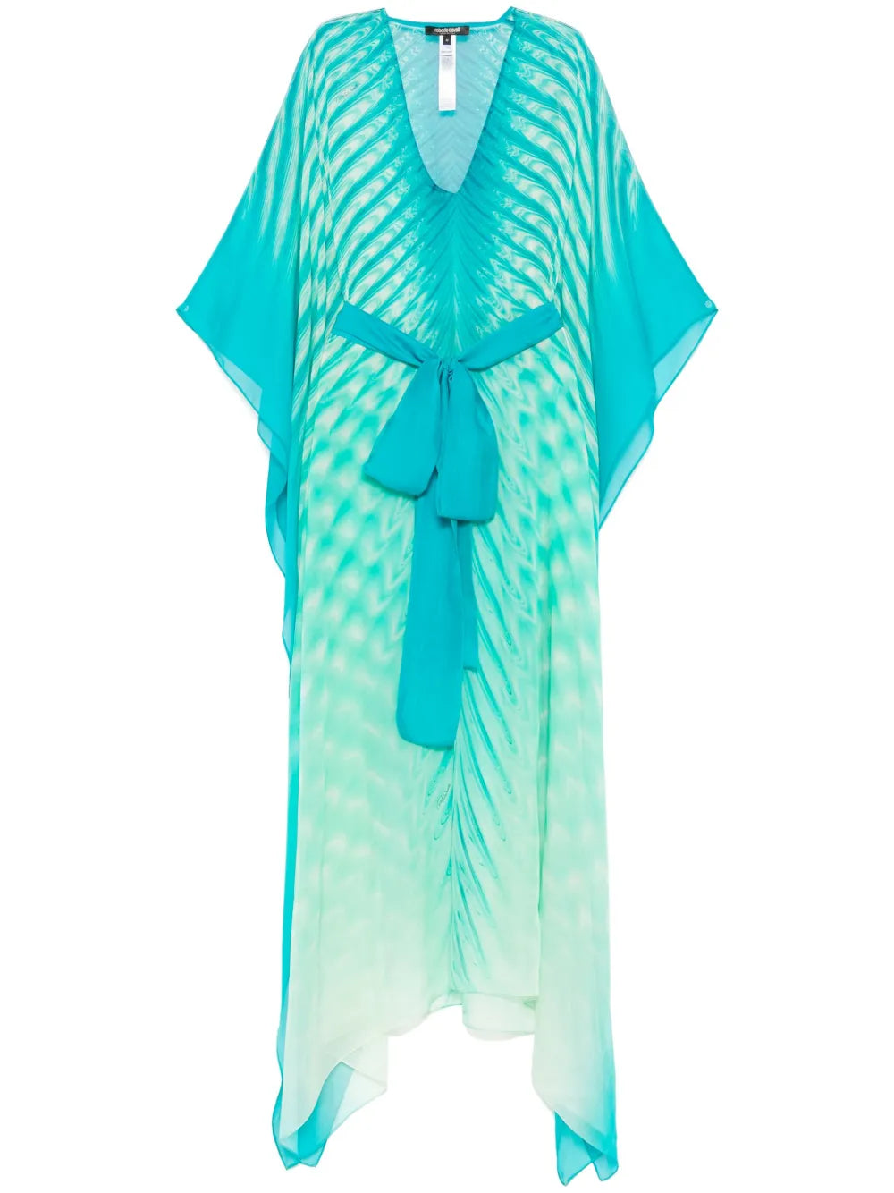 Roberto Cavalli Printed Maxi Dress