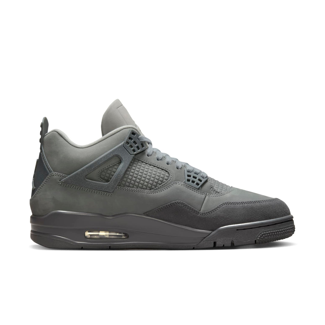 Air Jordan 4 Retro SE