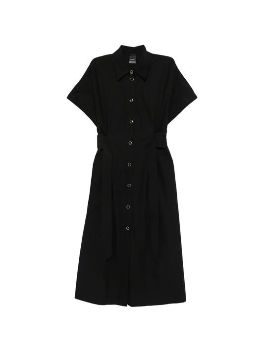 Pinko Alesha Midi Dress