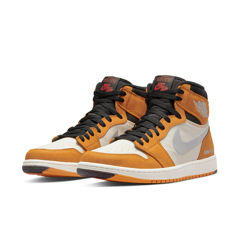 Air Jordan 1 High Element GORE-TEX