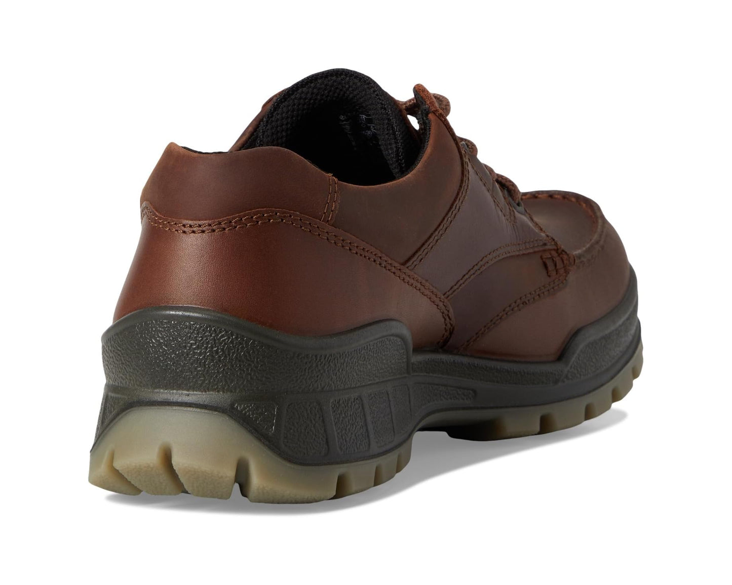 Men's ECCO Sport Track 25 Low GORE-TEX Waterproof Hiking Shoe Bison Full Grain Leather