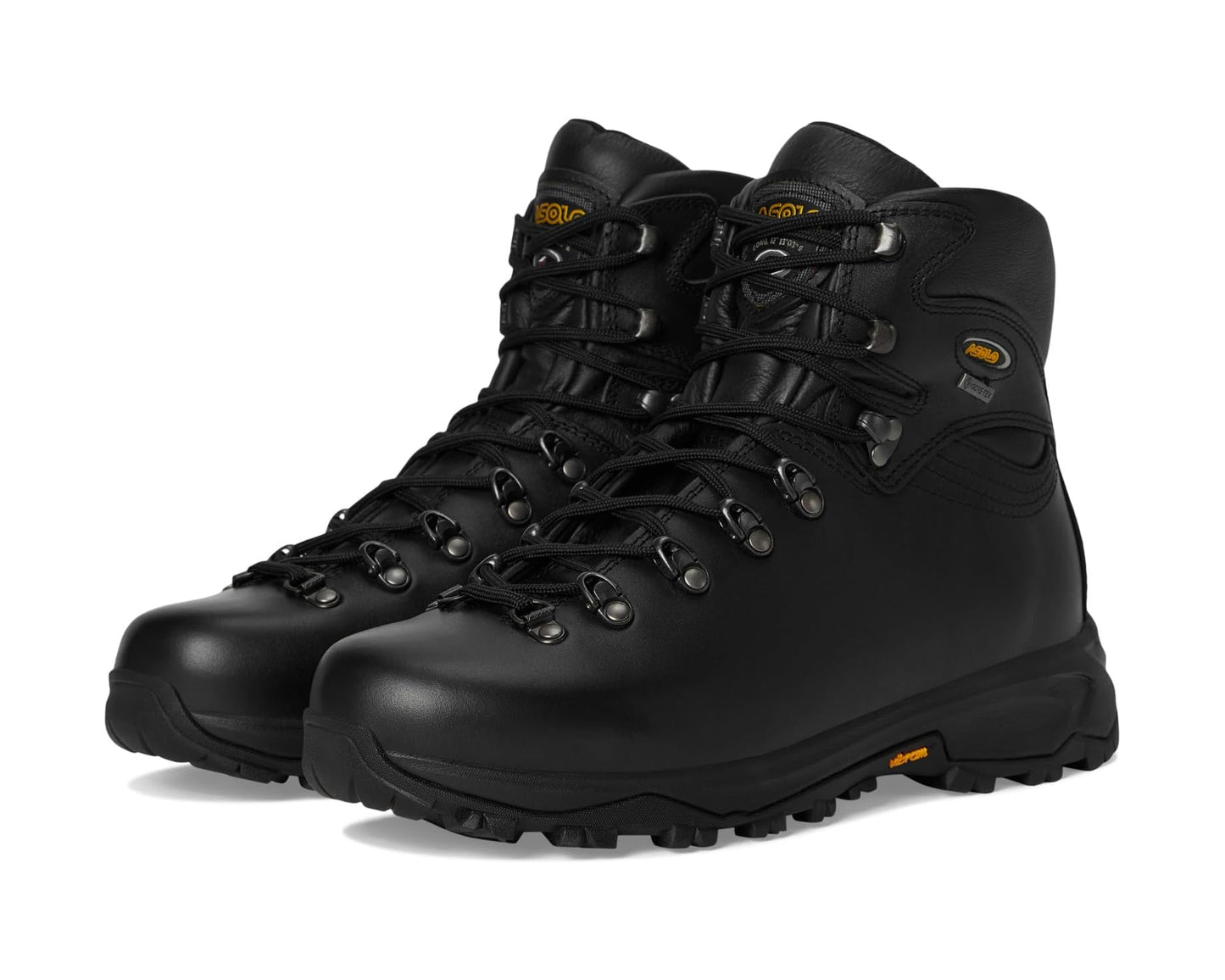 Men's Asolo 520 Winter GV MM Black