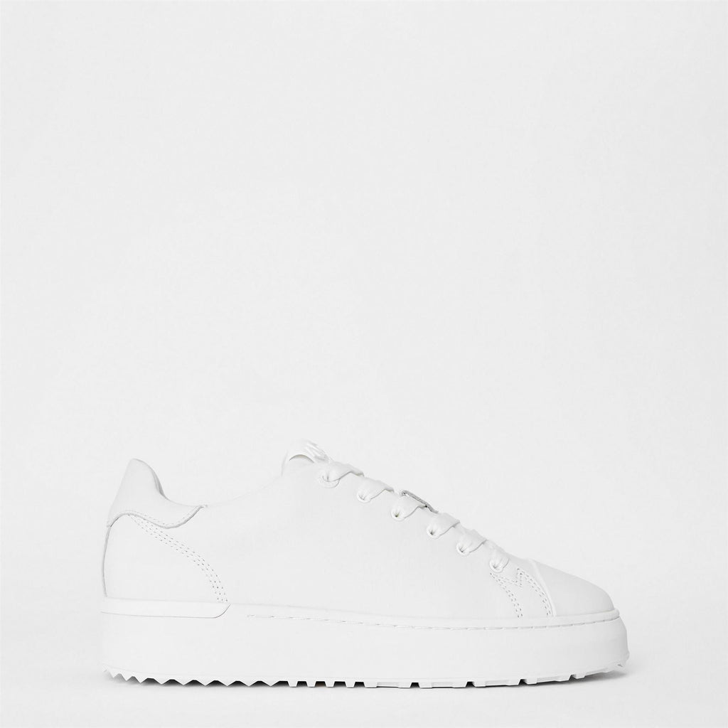 Mallet Womens Low Top Trainers