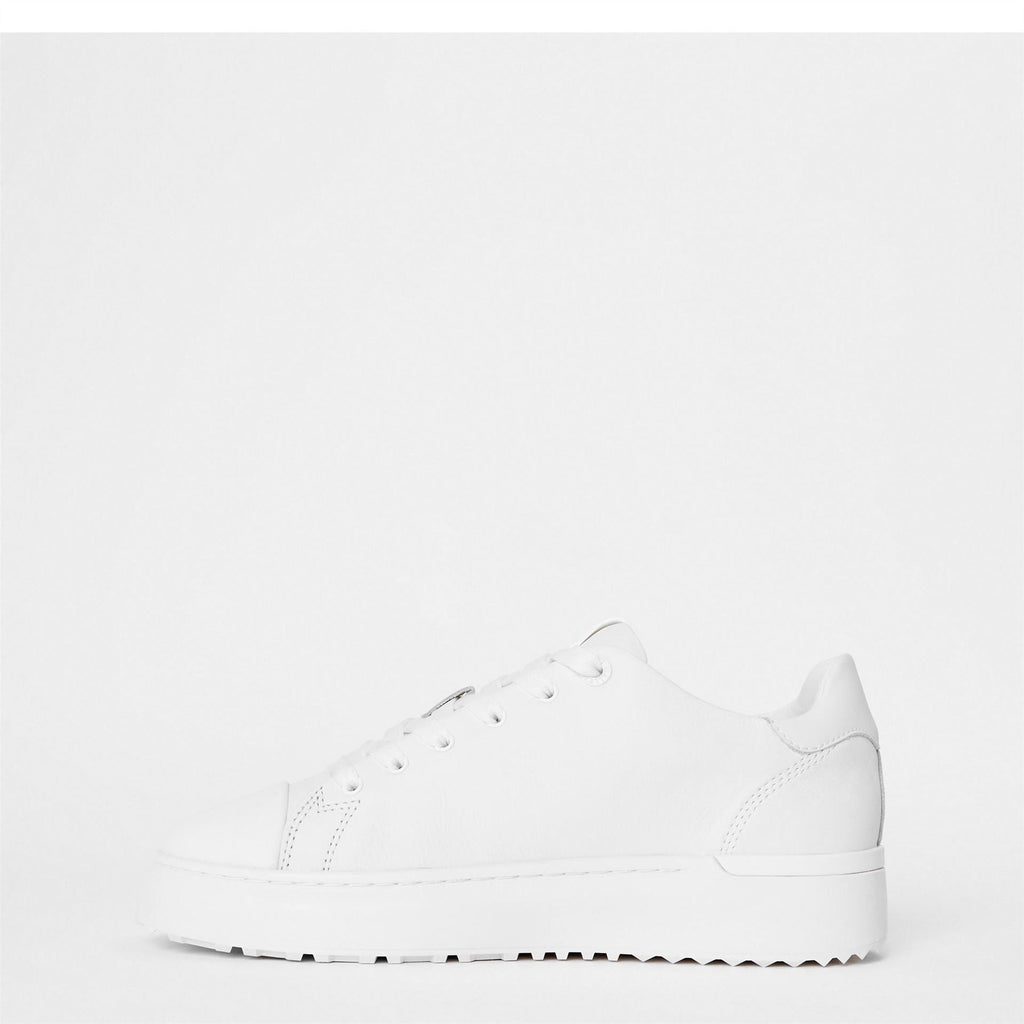Mallet Womens Low Top Trainers